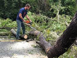 Leaf Removal in Morrow, GA